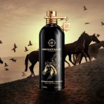 MONTALE Arabians Tonka MONTALE Arabians Tonka