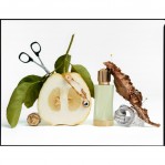 Versace Cedrat de Diamante