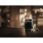 DOLCE & GABBANA The One For Men Eau de Parfum Intense