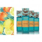 Gritti Costiera Gritti Costiera