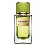 DOLCE & GABBANA Velvet Mughetto DOLCE & GABBANA Velvet Mughetto