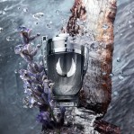 Paco Rabanne Invictus Platinum Paco Rabanne Invictus Platinum