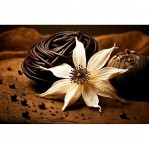 Tom Ford Vanille Fatale (2024) Tom Ford Vanille Fatale (2024)