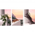 DOLCE & GABBANA Devotion Intense